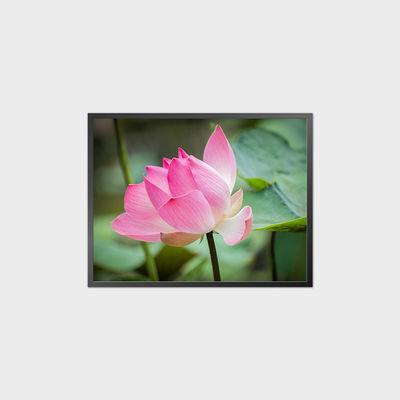 34.3 ইঞ্চি স্কয়ার এলসিডি প্যানেল 1856*1420 1500 নিট ডিসপ্লে এলসিডি মডিউল