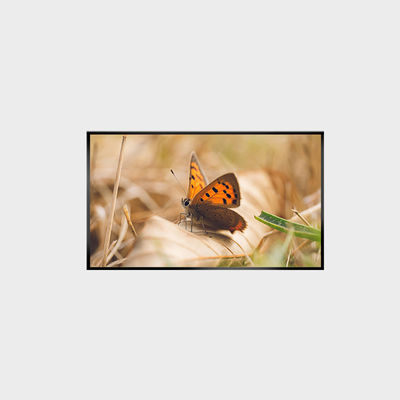 43 ইঞ্চি এলসিডি প্যানেল 2000nits 1920*1080 LCMA-RX0430GL13-Z200