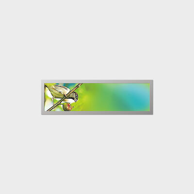 19.4 ইঞ্চি বার টাইপ TFT LCD ডিসপ্লে যার সাথে কম Ppower খরচ সাপোর্ট কাস্টমাইজেশন