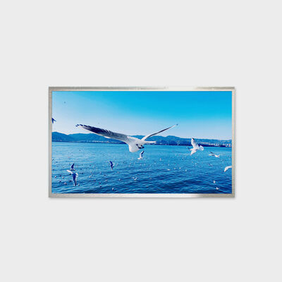 13.3 ইঞ্চি TFT LCD সলিউশন 800nits ব্রাইটনেস সলিউশন ওয়াইড টেম্পারেচার ডিসপ্লে