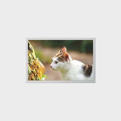 পোর্টেবল মেডিকেল ডিভাইসের জন্য 12.1 ইঞ্চি TFT ডিসপ্লে কম পাওয়ার খরচ LCD সহ