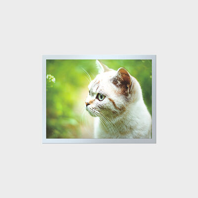 শিল্প উপকরণ প্যানেলের জন্য 15 ইঞ্চি উচ্চ উজ্জ্বলতা TFT দীর্ঘ জীবনকাল LCD