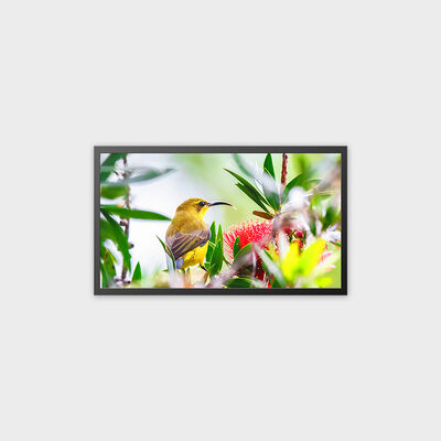 32 ইঞ্চি TFT LCD বিজ্ঞাপন প্রদর্শন 4000nits উচ্চ উজ্জ্বলতা সমাধান