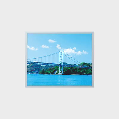19 ইঞ্চি TFT LCD ডিসপ্লে 1280*1024 রেজোলিউশন সহ প্রশস্ত তাপমাত্রা শিল্প এলাকা