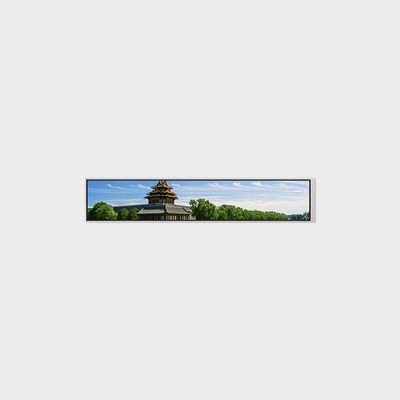 6.9 Inch Bar-Type LCD With 280*1424 Resolution Support Brightness Customization