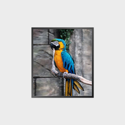 হাই কন্ট্রাস্ট স্কোয়ার এলসিডি প্যানেল 35.6 ইঞ্চি 950*1080 500nit অ্যান্ড্রয়েড সিস্টেমের সাথে