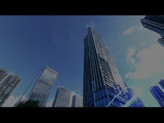 রোগিন পরিচিতি (CN)