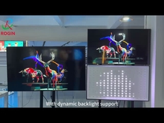 Rogin স্থানীয় ডিমিং প্রযুক্তিগত সহায়তা ভূমিকা